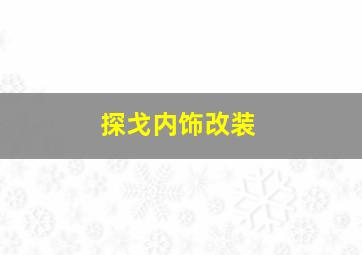 探戈内饰改装