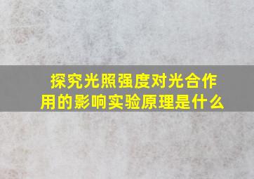 探究光照强度对光合作用的影响实验原理是什么