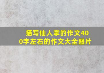 描写仙人掌的作文400字左右的作文大全图片