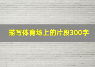 描写体育场上的片段300字