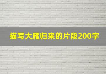 描写大雁归来的片段200字