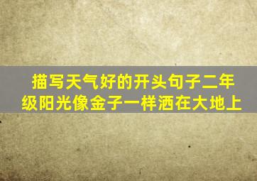 描写天气好的开头句子二年级阳光像金子一样洒在大地上