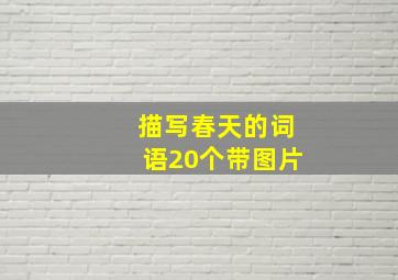 描写春天的词语20个带图片