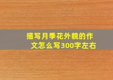 描写月季花外貌的作文怎么写300字左右