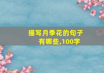 描写月季花的句子有哪些,100字