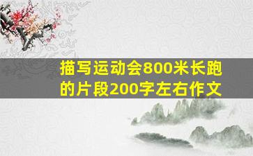 描写运动会800米长跑的片段200字左右作文