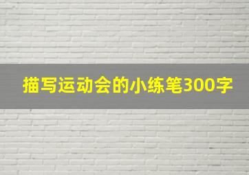 描写运动会的小练笔300字