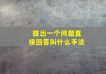 提出一个问题直接回答叫什么手法