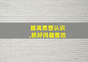 提高思想认识,抓好问题整改