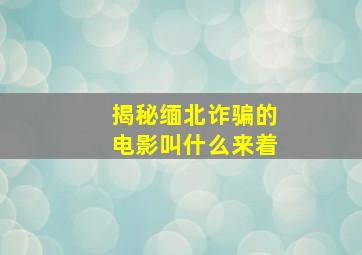 揭秘缅北诈骗的电影叫什么来着