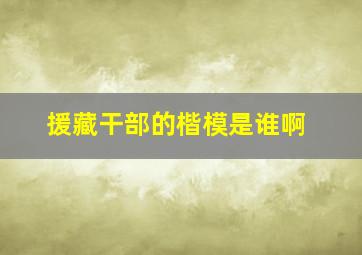 援藏干部的楷模是谁啊