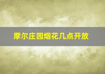 摩尔庄园烟花几点开放