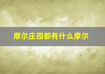 摩尔庄园都有什么摩尔