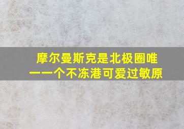 摩尔曼斯克是北极圈唯一一个不冻港可爱过敏原