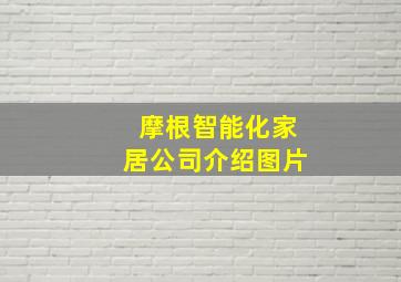 摩根智能化家居公司介绍图片