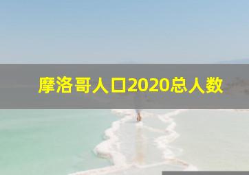 摩洛哥人口2020总人数