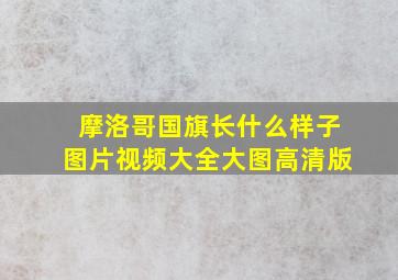 摩洛哥国旗长什么样子图片视频大全大图高清版