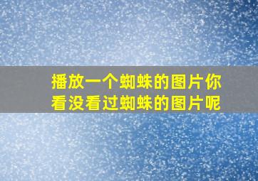 播放一个蜘蛛的图片你看没看过蜘蛛的图片呢