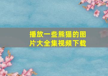 播放一些熊猫的图片大全集视频下载