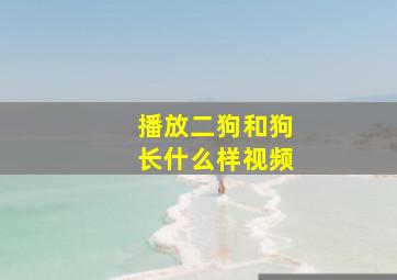 播放二狗和狗长什么样视频