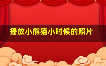 播放小熊猫小时候的照片