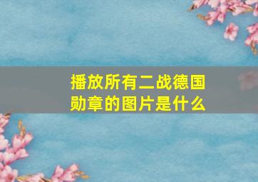 播放所有二战德国勋章的图片是什么