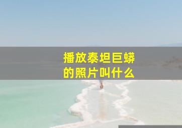 播放泰坦巨蟒的照片叫什么