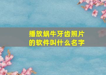 播放蜗牛牙齿照片的软件叫什么名字