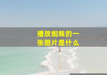 播放蜘蛛的一张图片是什么