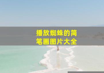 播放蜘蛛的简笔画图片大全