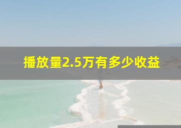 播放量2.5万有多少收益