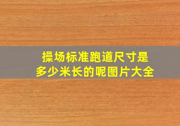 操场标准跑道尺寸是多少米长的呢图片大全