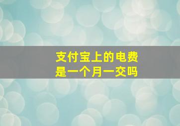 支付宝上的电费是一个月一交吗