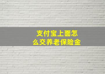 支付宝上面怎么交养老保险金