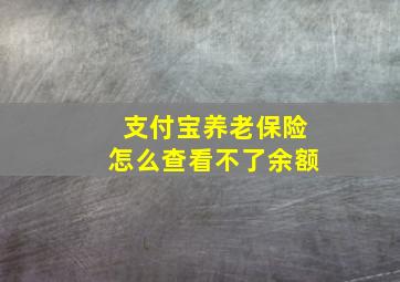 支付宝养老保险怎么查看不了余额