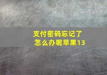 支付密码忘记了怎么办呢苹果13