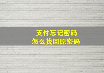 支付忘记密码怎么找回原密码