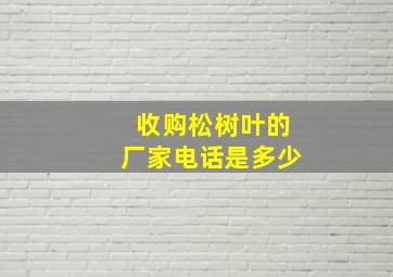 收购松树叶的厂家电话是多少