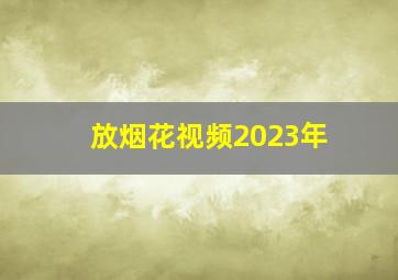 放烟花视频2023年