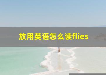 放用英语怎么读flies