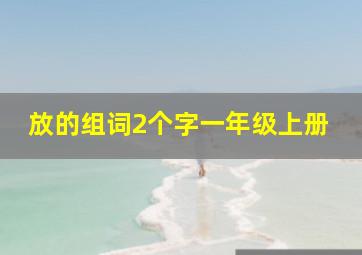 放的组词2个字一年级上册