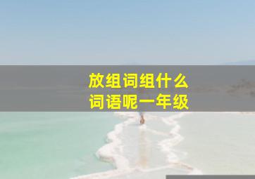 放组词组什么词语呢一年级