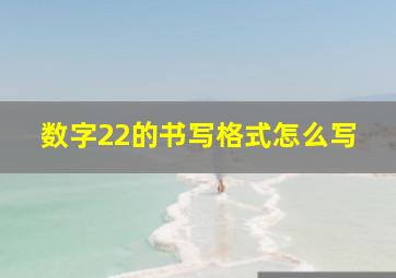 数字22的书写格式怎么写