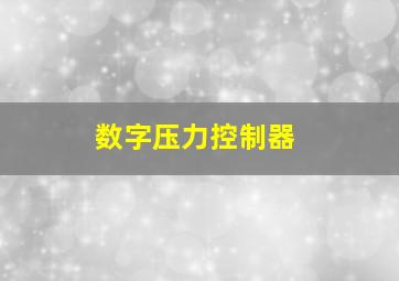 数字压力控制器