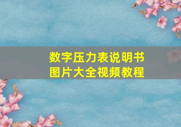 数字压力表说明书图片大全视频教程