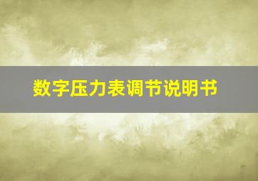 数字压力表调节说明书