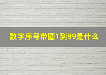 数字序号带圈1到99是什么