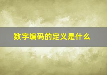 数字编码的定义是什么