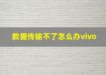 数据传输不了怎么办vivo