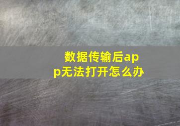 数据传输后app无法打开怎么办